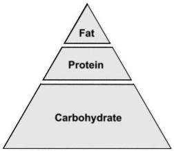 The Diet Pyramid